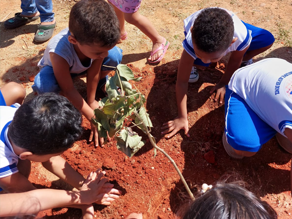 Dia da Árvore é comemorado com ações educativas em Cedro